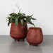 Hattaya Red Terracotta Planter with Feet - 7.5"D thumbnail 1