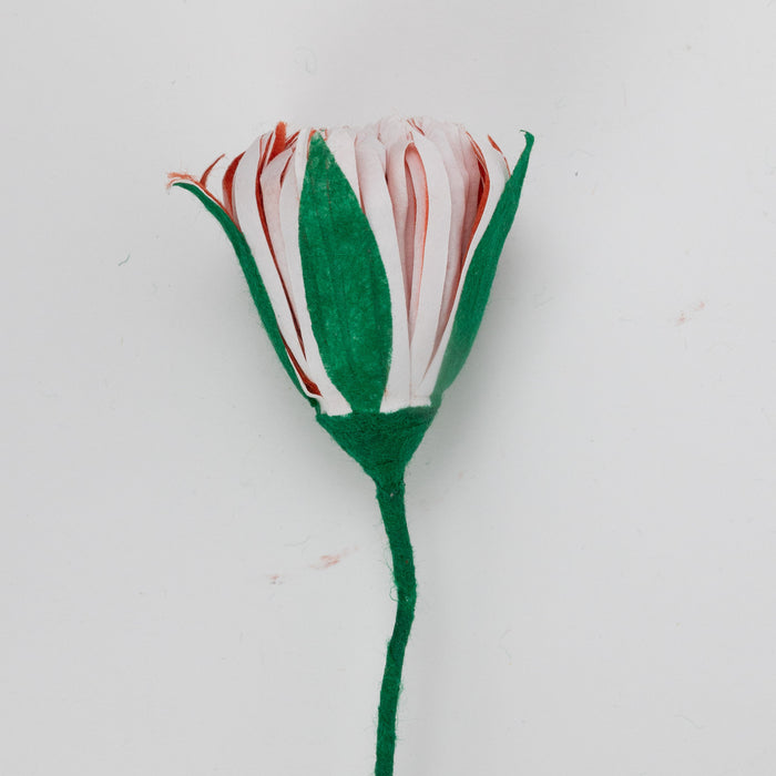 Sesa Paper Flower Collection - Hydrangea 3