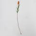 Sesa Paper Flower Collection - Papaya Lilac thumbnail 1
