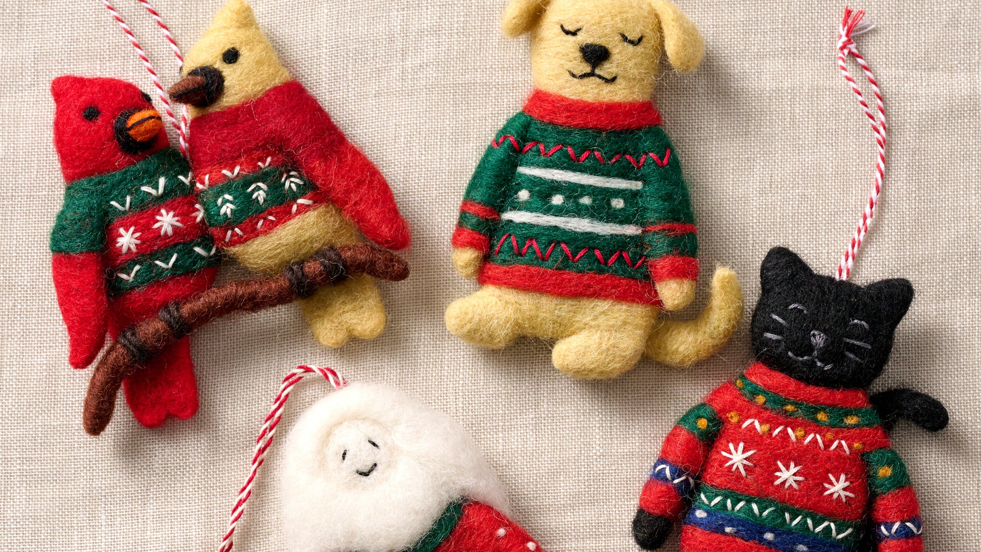 Fair Trade Cheer Starts Here