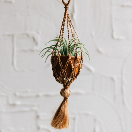 Neeka Mini Macrame Hanging Planter - Terracotta