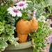 Self Watering Plant Pet - Rhino thumbnail 1