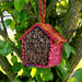 Gunjana Bamboo Bee House thumbnail 1