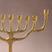 Rooted in Faith Gold Tone Menhorah thumbnail 4