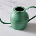 Bujhana Iron Watering Can - 5.5" thumbnail 2
