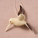 Tagua Nut Hummingbird Ornament thumbnail 3