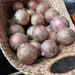 Bronce Etched Ball Ornament - Ten Thousand Villages