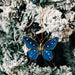 Blue Butterfly Capiz Ornament thumbnail 2
