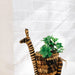 Growing Tall Zebra Planter thumbnail 3
