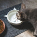 Happy Cat Food Dish thumbnail 4