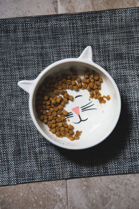 Happy Cat Food Dish 5