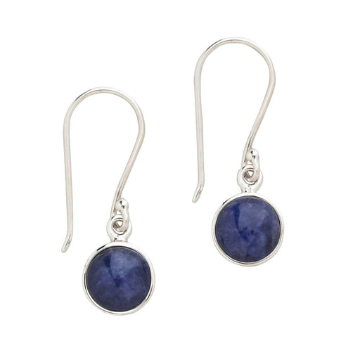 Midnight Blue  Earrings