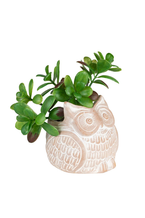 Petite Owl Planter 2