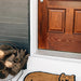 Kitty Clean Doormat thumbnail 4