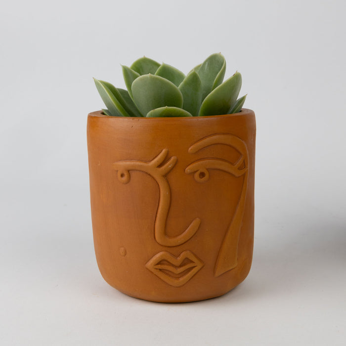 Full Lashes Terracotta Face Planter 4" 2