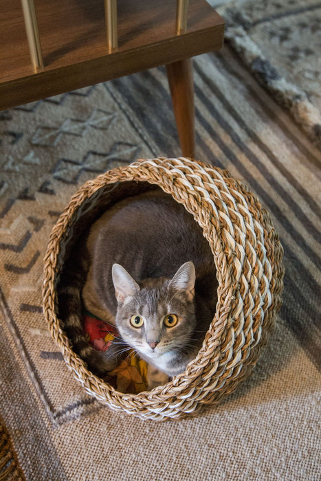 Recycled Sari Cat Basket 5