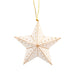 Gold & White Star Ornament thumbnail 1