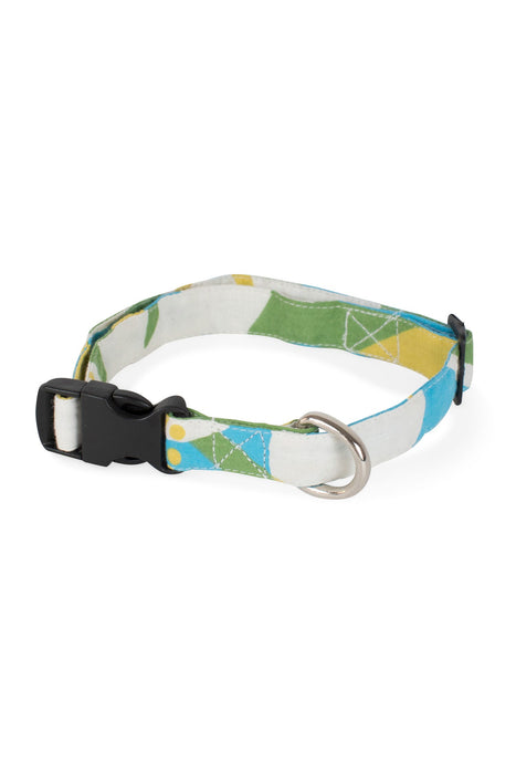 Fetching Fabric Dog Collar 2