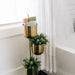 Tiered Brass Plant Stand thumbnail 5