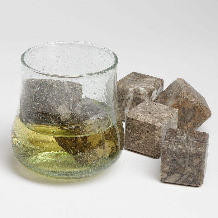 Fossil Stone  Drink Cubes 6