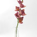Orchid Forever Flowers thumbnail 3