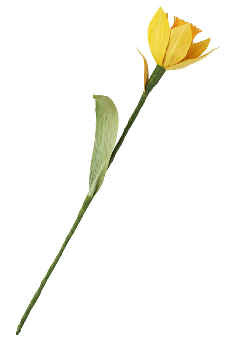 Daffodil Forever Flower 1