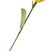 Daffodil Forever Flower thumbnail 1