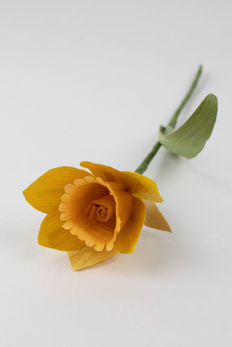 Daffodil Forever Flower 2