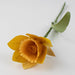 Daffodil Forever Flower thumbnail 2