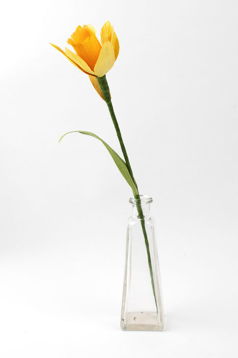 Daffodil Forever Flower 3