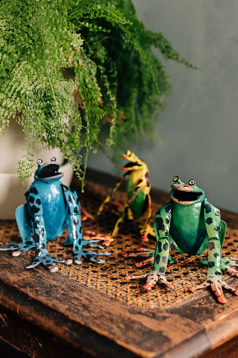 Jump for Joy Garden Frog 3