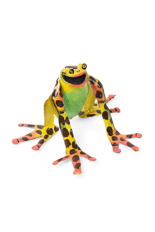 Jump for Joy Garden Frog