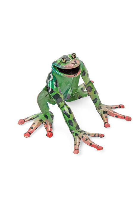 Jump for Joy Garden Frog 1