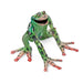 Jump for Joy Garden Frog thumbnail 1