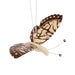 Tagua Butterfly Ornament thumbnail 1